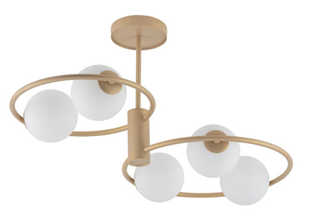 AQUA 5 plafond - gold