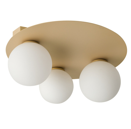 [33271] ARGON 3 round - gold